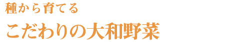 種から育てるこだわりの大和野菜