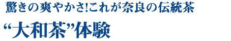 驚きの爽やかさ！これが奈良の伝統茶　“大和茶”体験