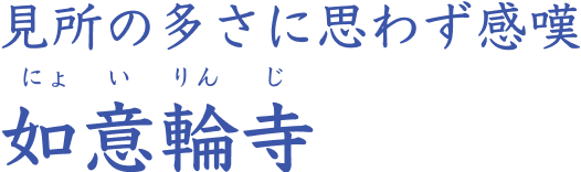 見所の多さに思わず感嘆 如意輪寺