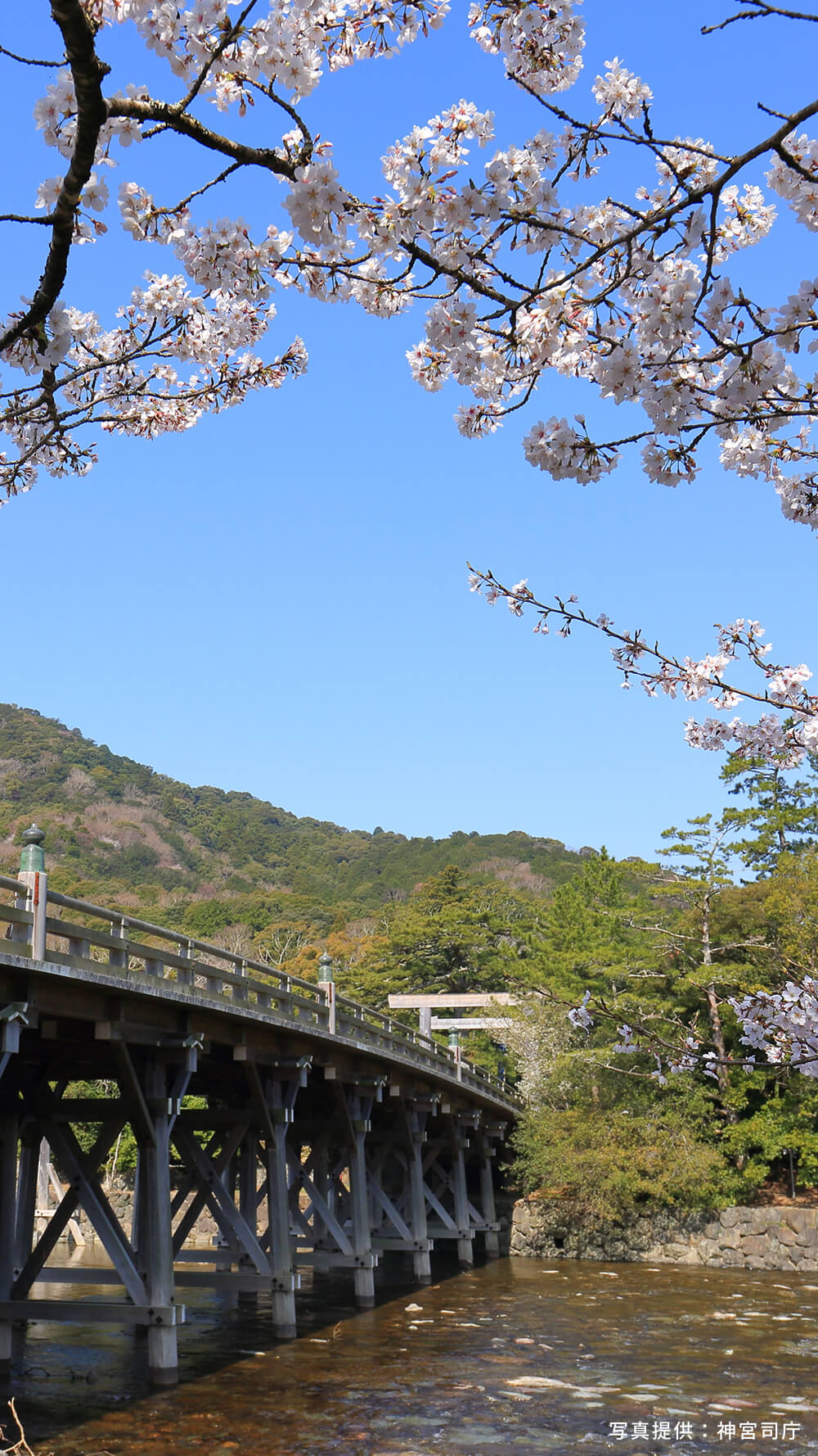 写真提供：神宮司庁