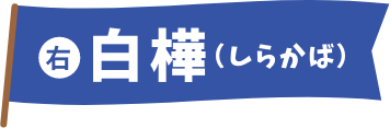 白樺（しらかば）