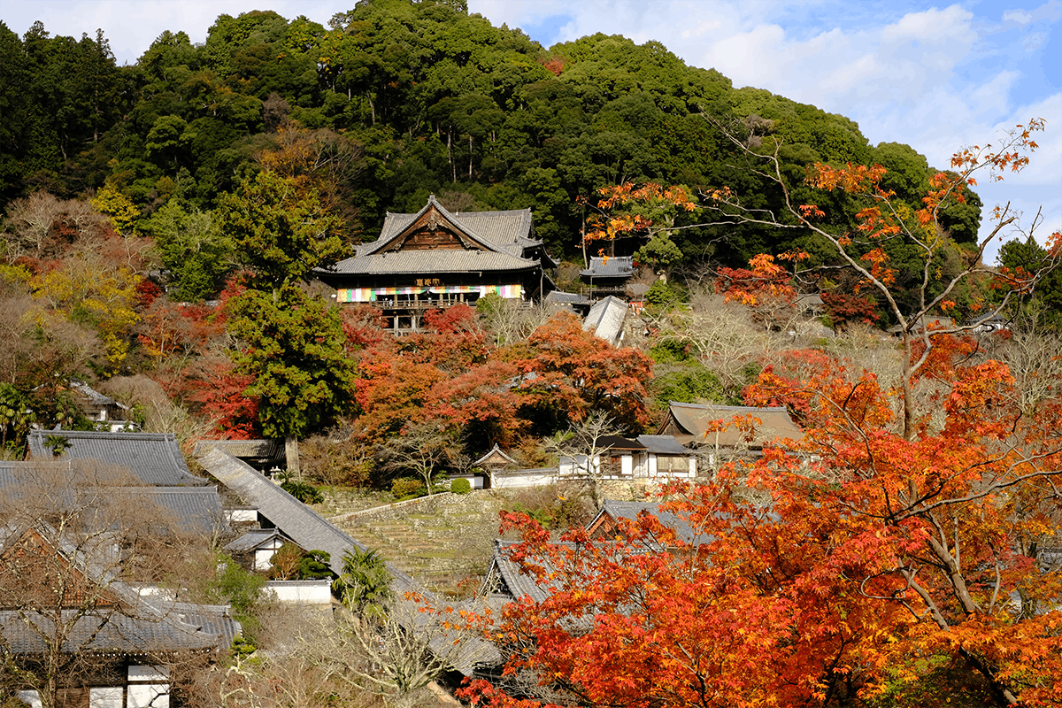 長谷寺