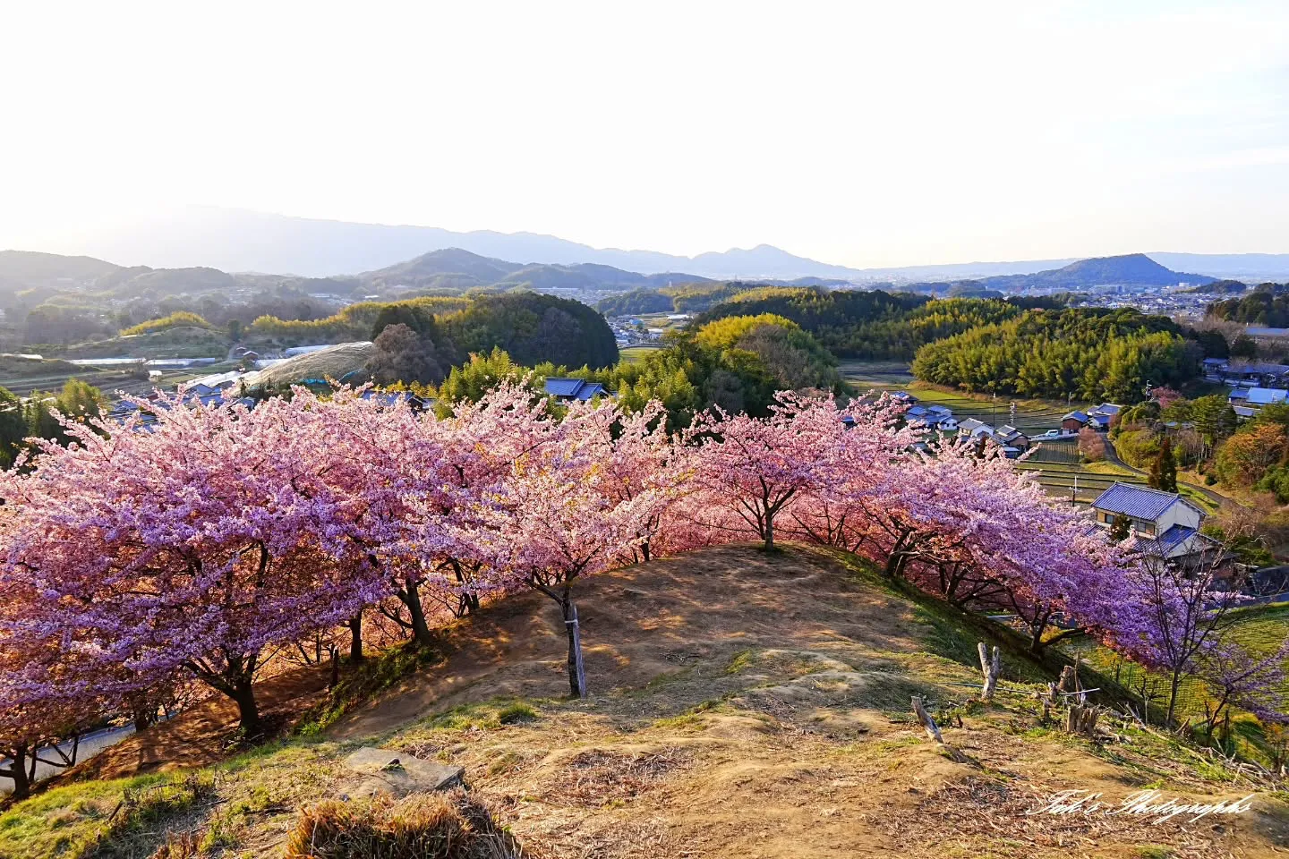 taksphoto_13さんの受賞作品