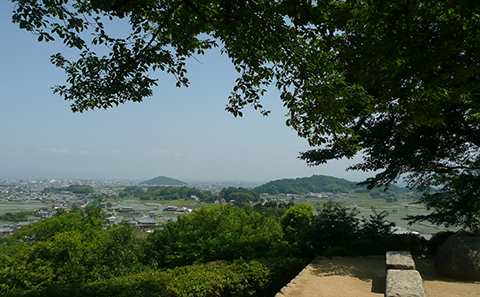 甘樫丘 スポット情報 飛鳥 橿原 葛城エリア 観光 おでかけ 近畿日本鉄道