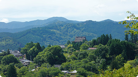 吉野山