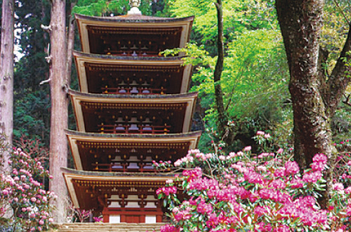 室生寺・大野寺コース