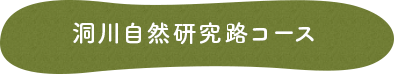 洞川自然研究路コース